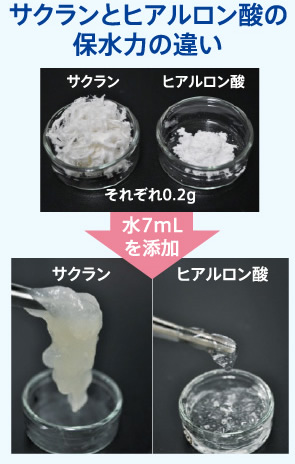 サクランが「第二の肌」となって、あなたのお肌を外部刺激から守ります!