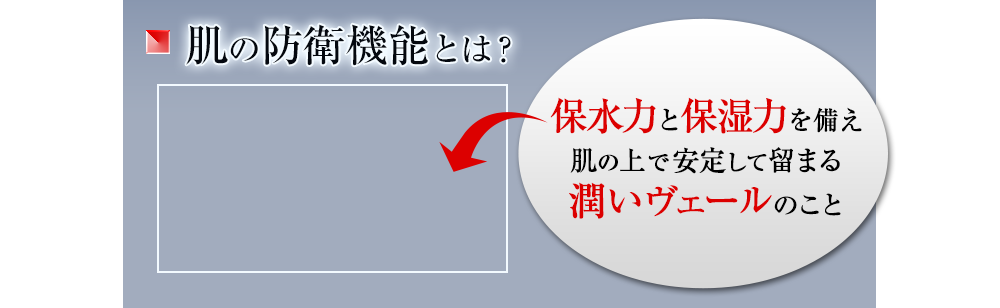 肌の防衛機能とは？保水力と保湿力を備え肌の上で安定して留まる潤いヴェールのこと