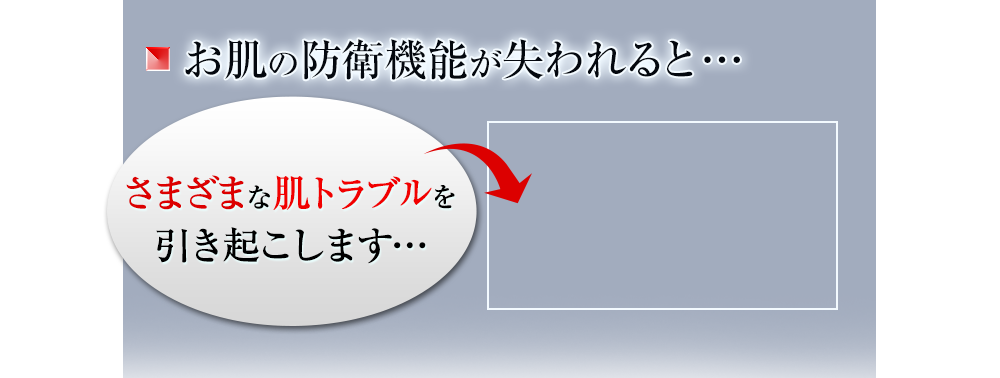 お肌の防衛機能が失われると…様々な肌トラブルを引き起こします…