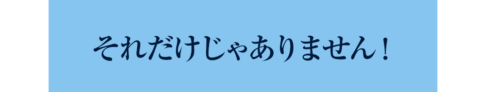 それだけじゃありません！