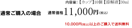 通常購入 10000円(税抜・送料無料)