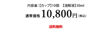通常購入 10800円(税込・送料無料)