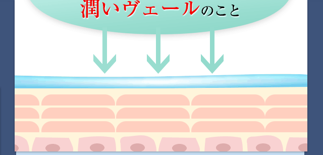 潤いヴェール イメージ