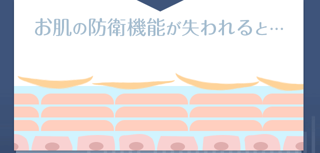 様々な肌トラブル メカニズム