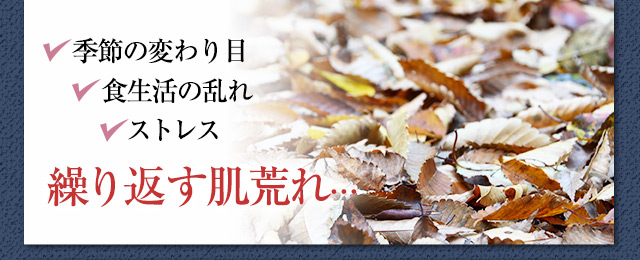 ■季節の変わり目■食生活の乱れ■ストレス 繰り返す肌荒れ…