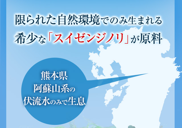限られた自然環境でのみ生まれる希少な「スイゼンジノリ」が原料