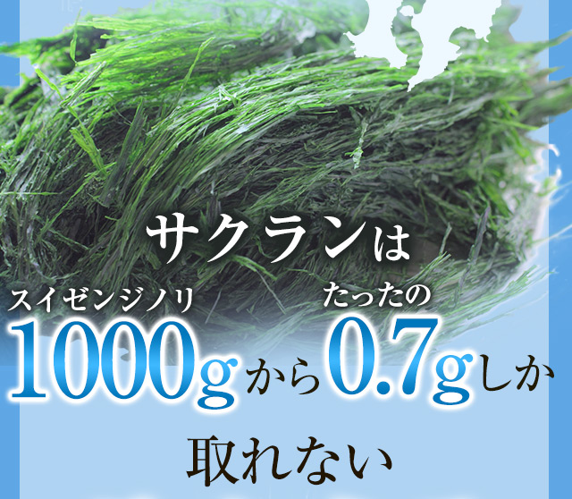 サクランはスイゼンジノリ1000gから0.7gしか取れない
