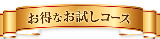 お得なお試しコース
