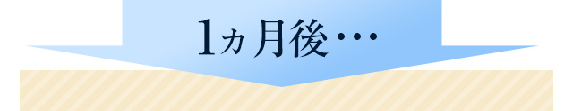 1ヵ月後…