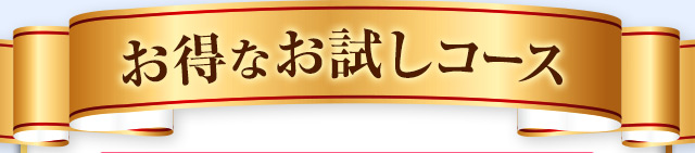 お得なお試しコース