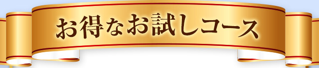 お得なお試しコース