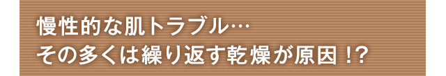 慢性的な肌トラブル…その多くは繰り返す乾燥が原因！？