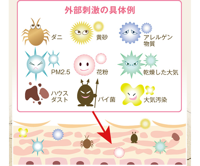 外部刺激の具体例