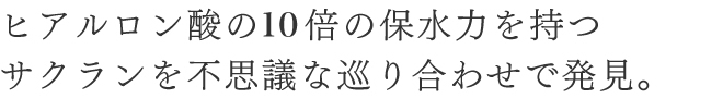 ヒアルロン酸の5倍の保水力を持つ サクランを不思議な巡り合わせで発見。