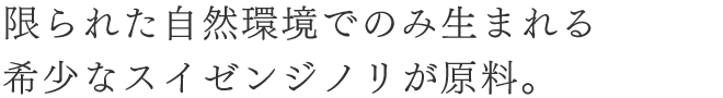 限られた自然環境でのみ生まれる 希少なスイゼンジノリが原料。