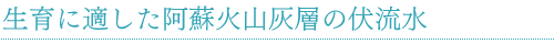 生育に適した阿蘇火山灰層の伏流水